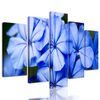 5-dielny obraz krásne nebesky modré kvety