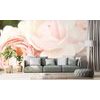 Samolepiaca fototapeta detail pastelovej ruže