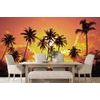 Samolepiaca tapeta kokosové palmy v žiare slnka