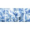 5-dielny obraz belasé kvety hortenzie