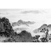 Obraz impozantná maľba krajiny v čiernobielom prevedení