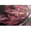 Obraz ilúzia ružového lotosového kvetu