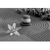Samolepiaca fototapeta čiernobiela zen záhrada s kameňmi a kvetmi