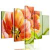 5-dielny obraz maľované tulipány