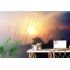 Samolepiaca fototapeta tráva v lúčoch slnka