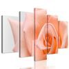 5-dielny obraz precízny detail na oranžovú ružu