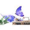 Samolepiaca tapeta fialový motýľ s pierkom