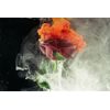 Tapeta ruža s farebným dymom