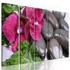 5-dielny obraz wellness zátišie a kvet orchidey