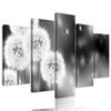 5-dielny obraz rozkvitnutá púpava v čiernobielom prevdení
