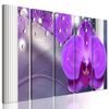 5-dielny obraz luxusná orchidea