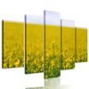 5-dielny obraz rozkvitnutá lúka