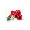 Obraz nádherné tulipány