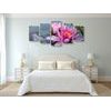 5-dielny obraz nádherné ružové lekno