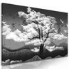 Obraz japonský strom v čiernobielom prevedení
