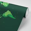 Tapeta mapa štátov v zelenom prevedení