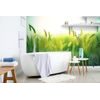 Samolepiaca tapeta steblá trávy s nádychom zelenej