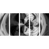 5-dielny obraz krásy abstraktných tvarov v čiernobielom prevedení