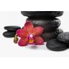 Samolepiaca tapeta červená orchidea so zen kameňmi