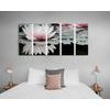 5-dielny obraz nádherné lekno