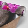 Fototapeta zen kamene s krásnymi kvetmi orchidey