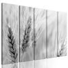 5-dielny obraz detail pšenice v čiernobielom prevedení