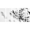 5-dielny obraz krásne kvety v čiernobielom prevedení