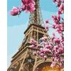 Maľovanie podľa čísiel Eiffelova veža obklopená sakurou
