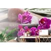 Samolepiaca fototapeta zen kamene s krásnymi kvetmi orchidey