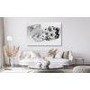 Obraz luxusné zátišie v čiernobielom prevedení