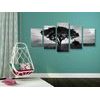 5-dielny obraz obraz nádherný slon v čiernobielom prevedení