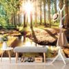 Samolepiaca fototapeta prebúdzajúci sa les