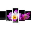 5-dielny obraz krásny kvet orchidei