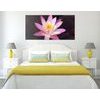 Obraz nádherný ružový lotosový kvet