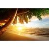 Samolepiaca fototapeta východ slnka na pláži v Karibiku