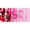 5-dielny obraz detail ružového kvetu