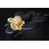 Samolepiaca fototapeta kompozícia kameňov so žltou orchideou