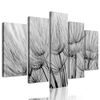 5-dielny obraz presný detail púpavy v čiernobielom prevedení