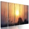 5-dielny obraz západ slnka nad lesom