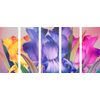 5-dielny obraz nádherné pestrofarebné kvety