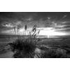 Originálna čiernobiela samolepiaca fototapeta západ slnka z pláže