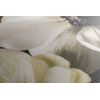 Obraz detailné zobrazenie bielych kvetov