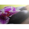 Obraz zaujímavo sfarbená orchidea a Zen kamene