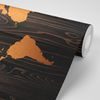 Samolepiaca tapeta luxusná mapa sveta