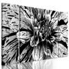5-dielny obraz ohromná dália v čiernobielom prevedení
