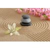 Fototapeta zen záhrada s kameňmi a kvetmi
