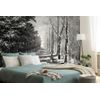 Samolepiaca tapeta čiernobiela alej stromov na prelome ročných období