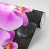 Samolepiaca fototapeta orchidea na zen kameňoch