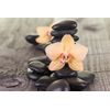 Samolepiaca fototapeta krásna orchidea so zen kameňmi