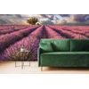 Samolepiaca fototapeta nekonečné levanduľové pole